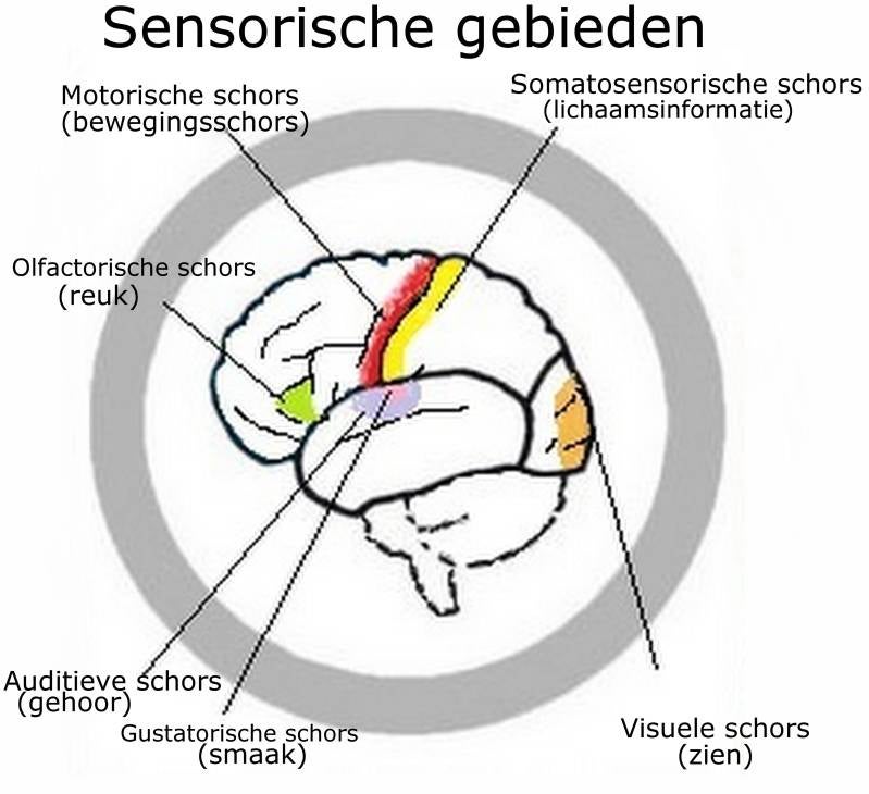 geheugen van nederland