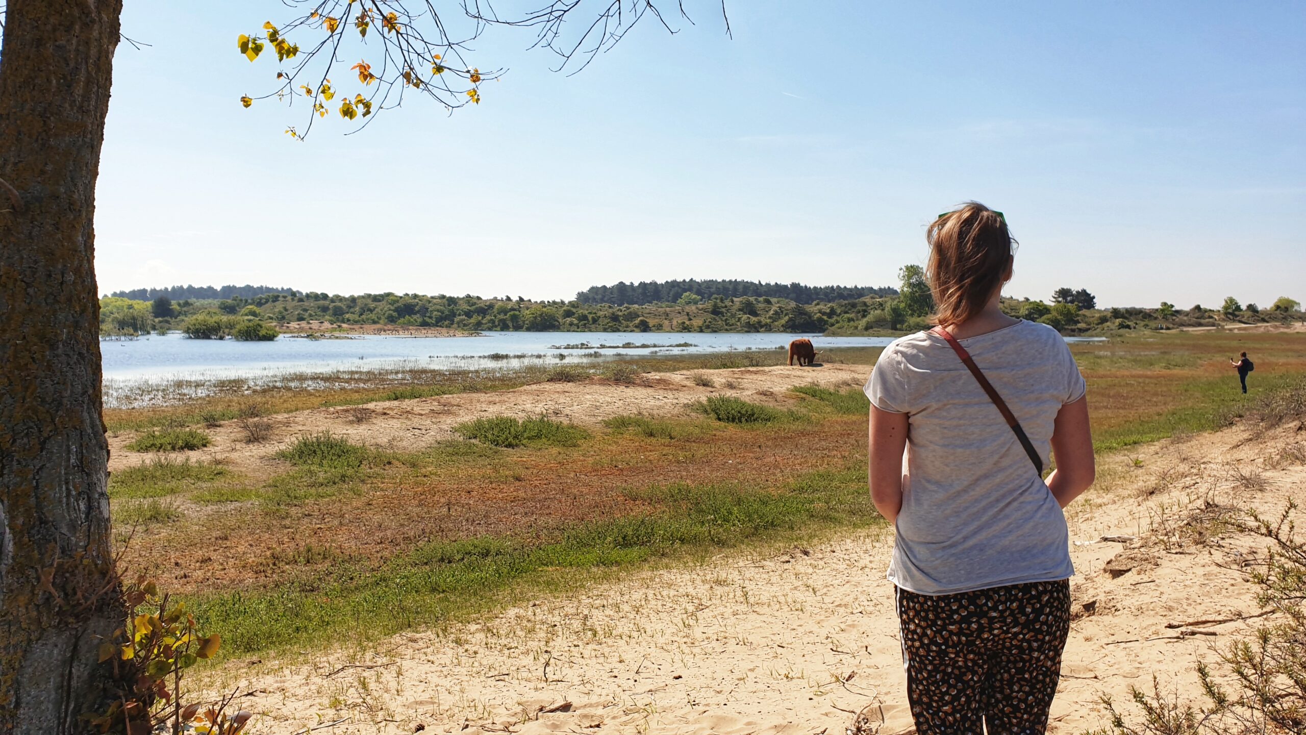 midweek weg nederland