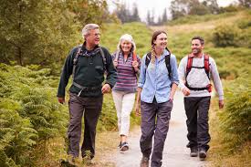 wandelvakantie nederland